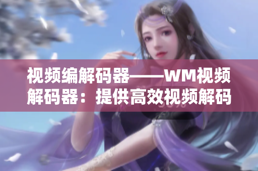 视频编解码器——WM视频解码器：提供高效视频解码与播放