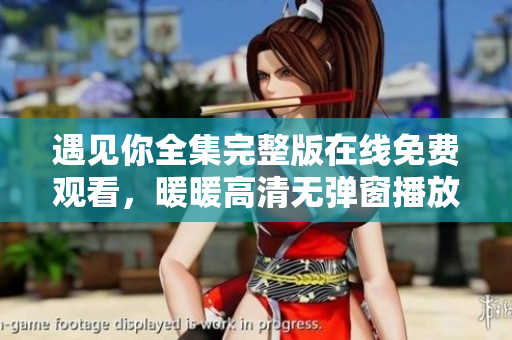 遇见你全集完整版在线免费观看，暖暖高清无弹窗播放